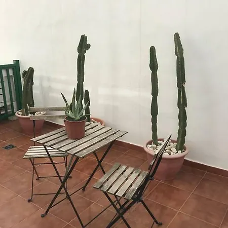 Apt D1. With Terrace And Near The Beach *